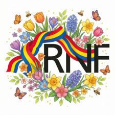 Realschule Neue Friedrichstraße Wuppertal